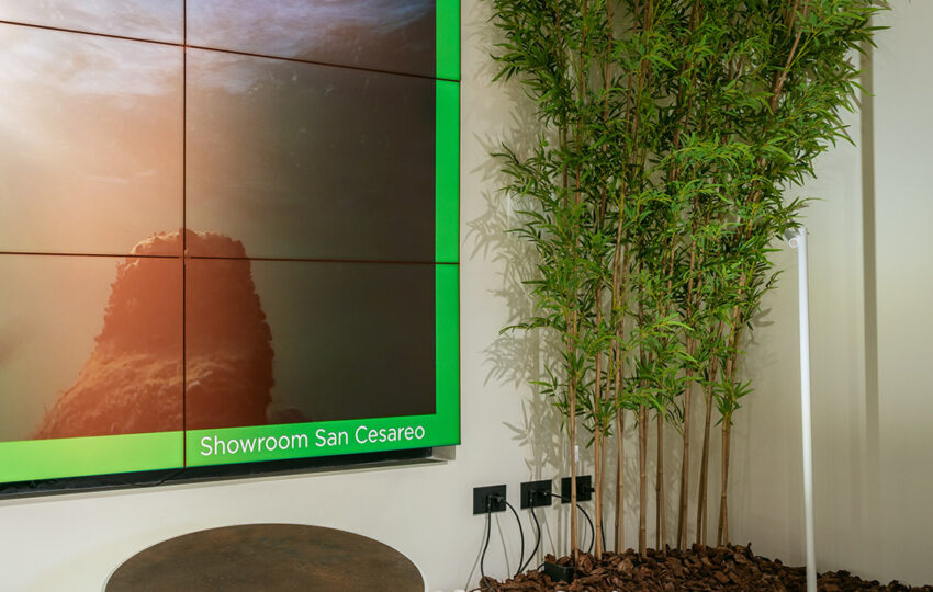 vimel store case study
