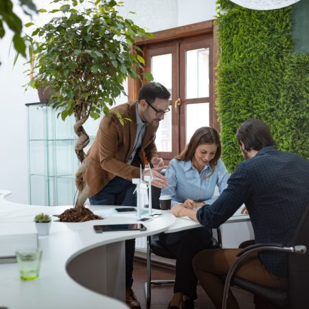 Green design per aumentare la produttività in ufficio